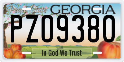 GA license plate PZO9380