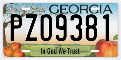 GA license plate PZO9381