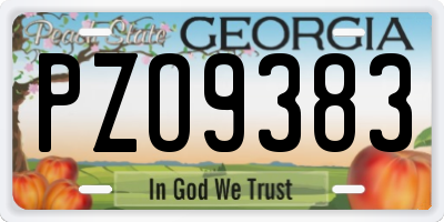 GA license plate PZO9383