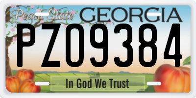 GA license plate PZO9384