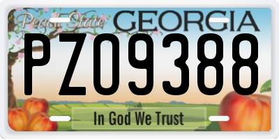 GA license plate PZO9388