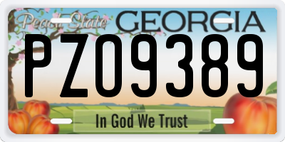 GA license plate PZO9389