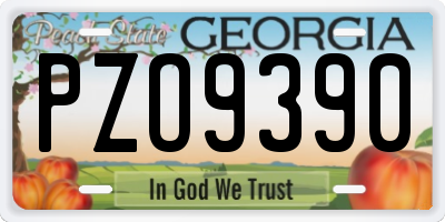 GA license plate PZO9390