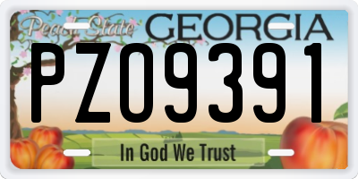 GA license plate PZO9391