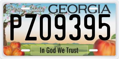 GA license plate PZO9395