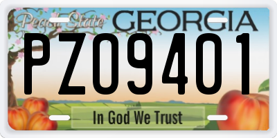 GA license plate PZO9401