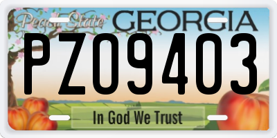 GA license plate PZO9403