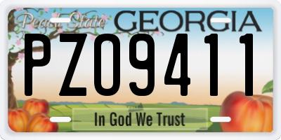 GA license plate PZO9411