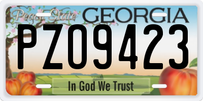 GA license plate PZO9423