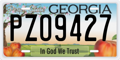 GA license plate PZO9427