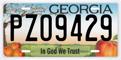 GA license plate PZO9429