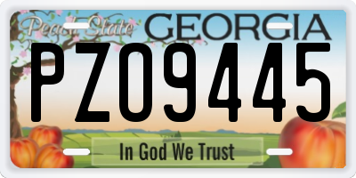 GA license plate PZO9445