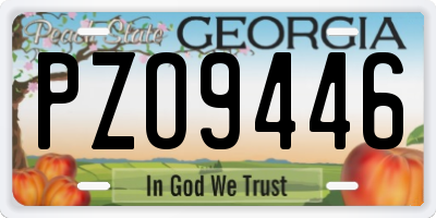 GA license plate PZO9446