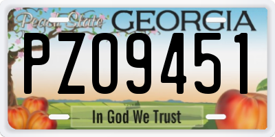 GA license plate PZO9451