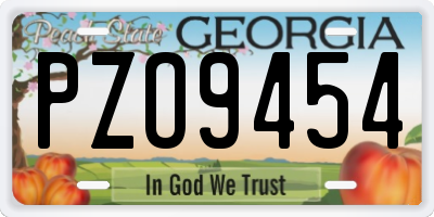 GA license plate PZO9454