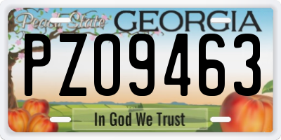 GA license plate PZO9463