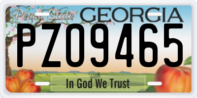 GA license plate PZO9465