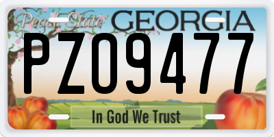 GA license plate PZO9477