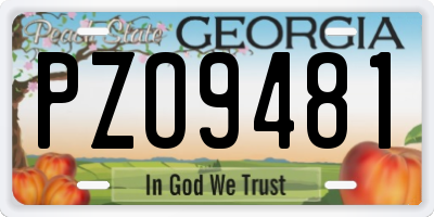 GA license plate PZO9481