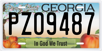 GA license plate PZO9487