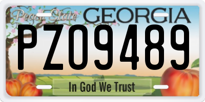 GA license plate PZO9489