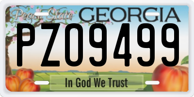 GA license plate PZO9499