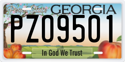 GA license plate PZO9501