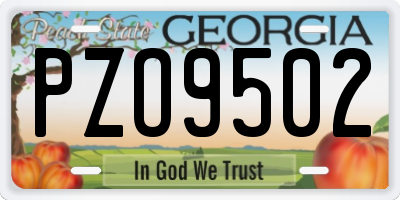 GA license plate PZO9502