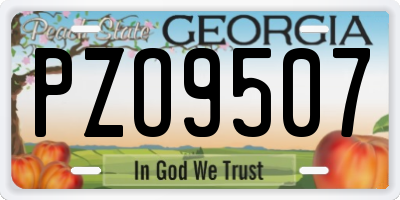 GA license plate PZO9507