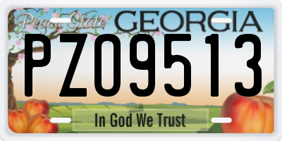 GA license plate PZO9513