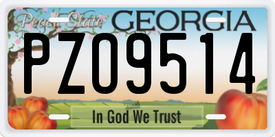 GA license plate PZO9514