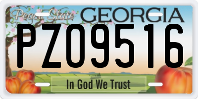 GA license plate PZO9516