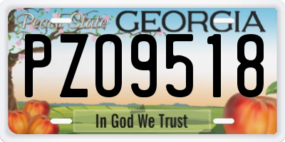 GA license plate PZO9518