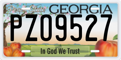 GA license plate PZO9527