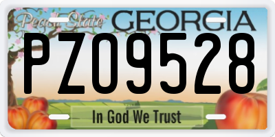 GA license plate PZO9528