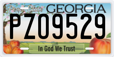 GA license plate PZO9529