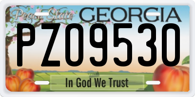 GA license plate PZO9530