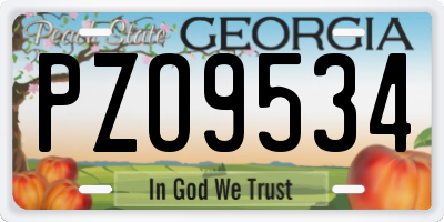 GA license plate PZO9534