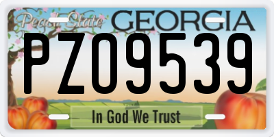 GA license plate PZO9539
