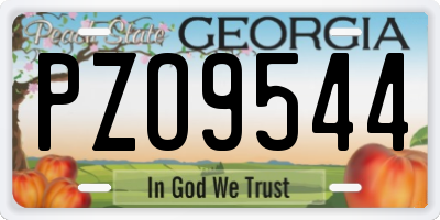 GA license plate PZO9544