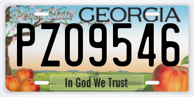 GA license plate PZO9546