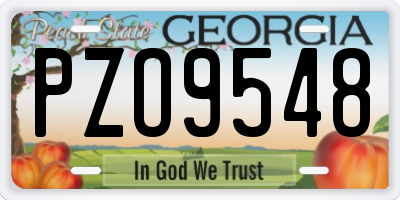 GA license plate PZO9548