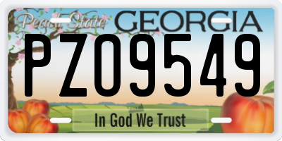 GA license plate PZO9549