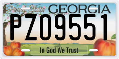 GA license plate PZO9551