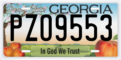 GA license plate PZO9553