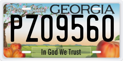 GA license plate PZO9560