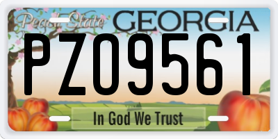 GA license plate PZO9561