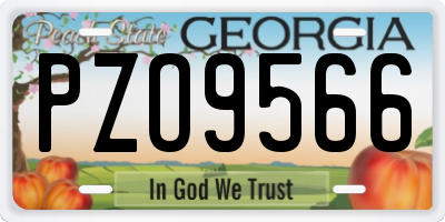 GA license plate PZO9566