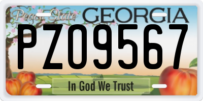 GA license plate PZO9567