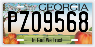 GA license plate PZO9568